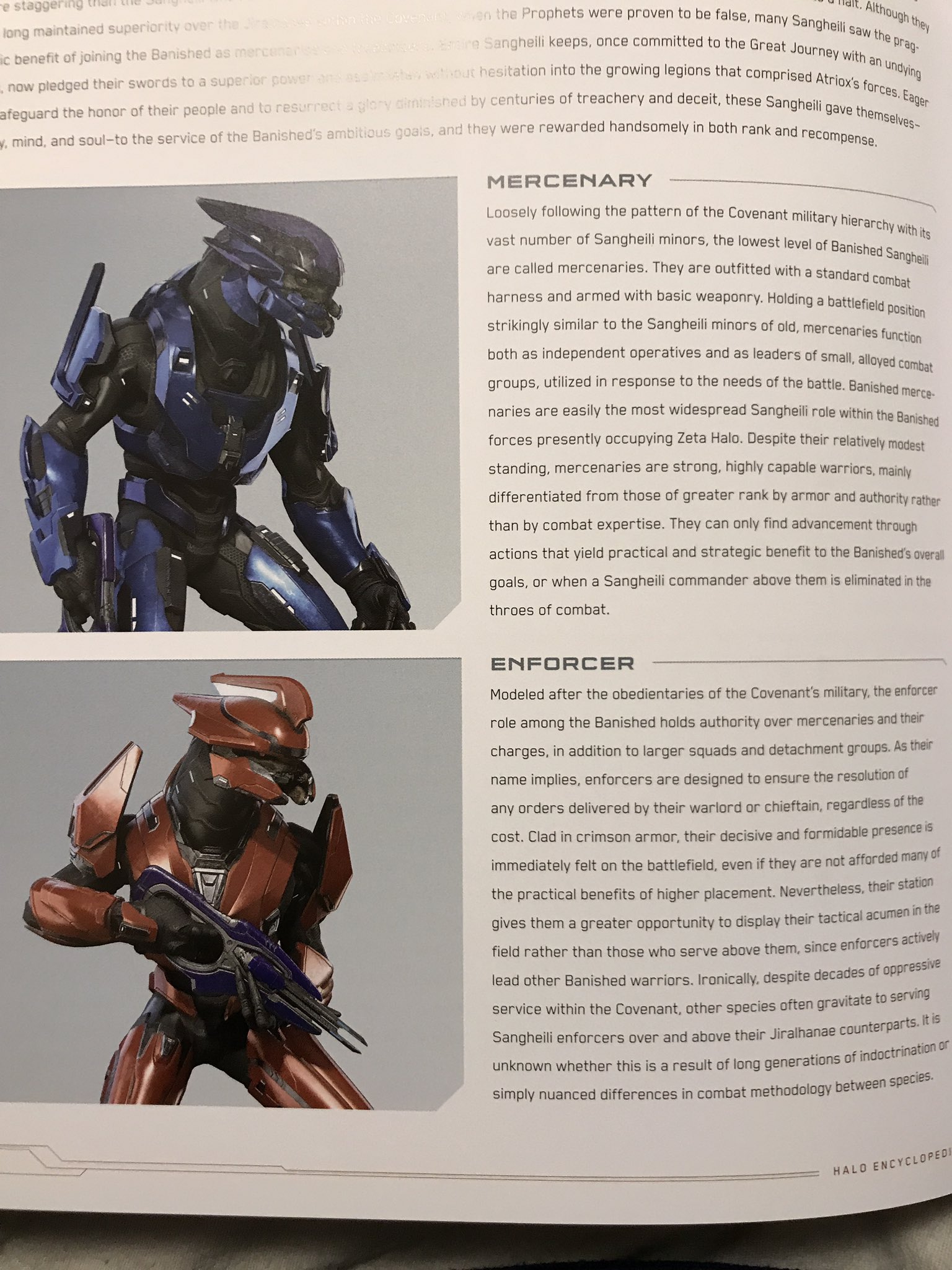 Halo Infinite Ranks 61 - 2qeehaw
