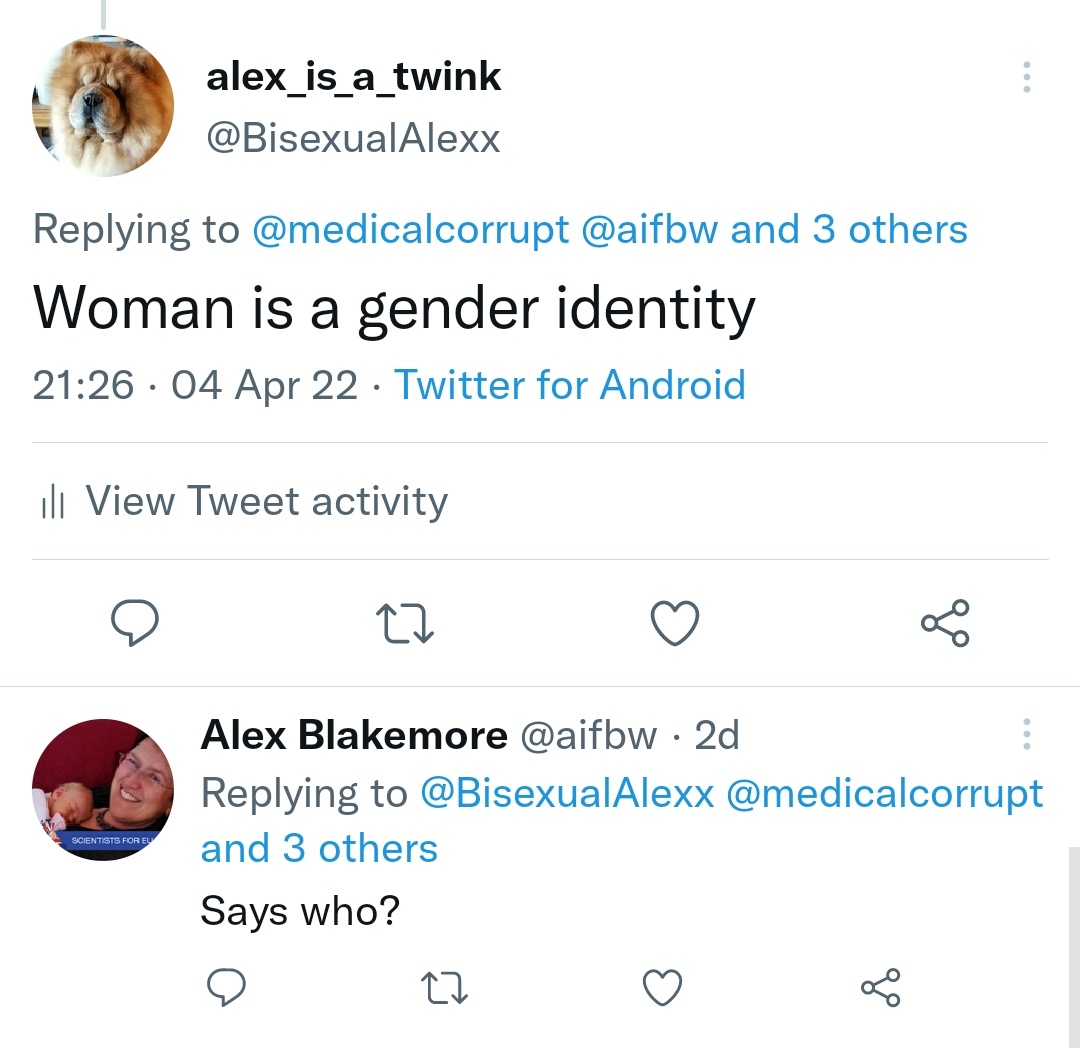 BisexualAlexx's tweet photo. Ohmygod these (probably) terfs be making me question my life decisions and if i should just become a hermit https://t.co/9A8HDXBGqe