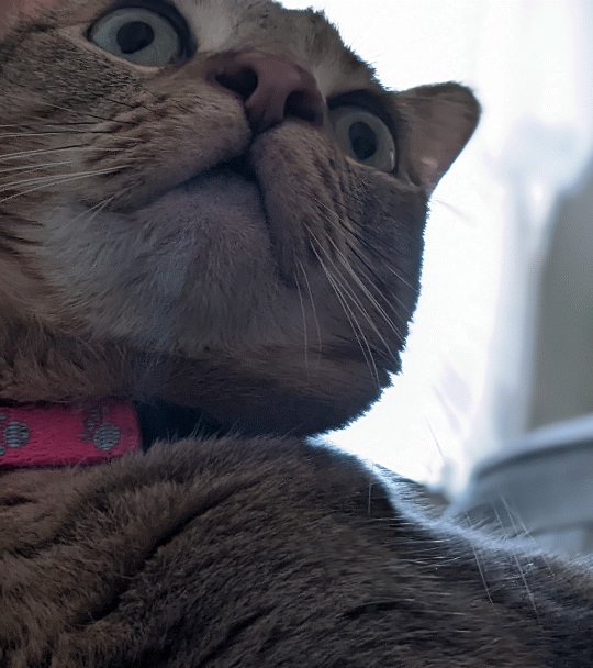 💀 https://t.co/ikuJMX686W<a href="/tag/happysaturday"class="tags"><span>#happysaturday</span></a><a href="/tag/bbw"class="tags"><span>#bbw</span></a><a href="/tag/chubby"class="tags"><span>#chubby</span></a><a href="/tag/curvygoddess"class="tags"><span>#curvygoddess</span></a><a href="/tag/onlyfans"class="tags"><span>#onlyfans</span></a>