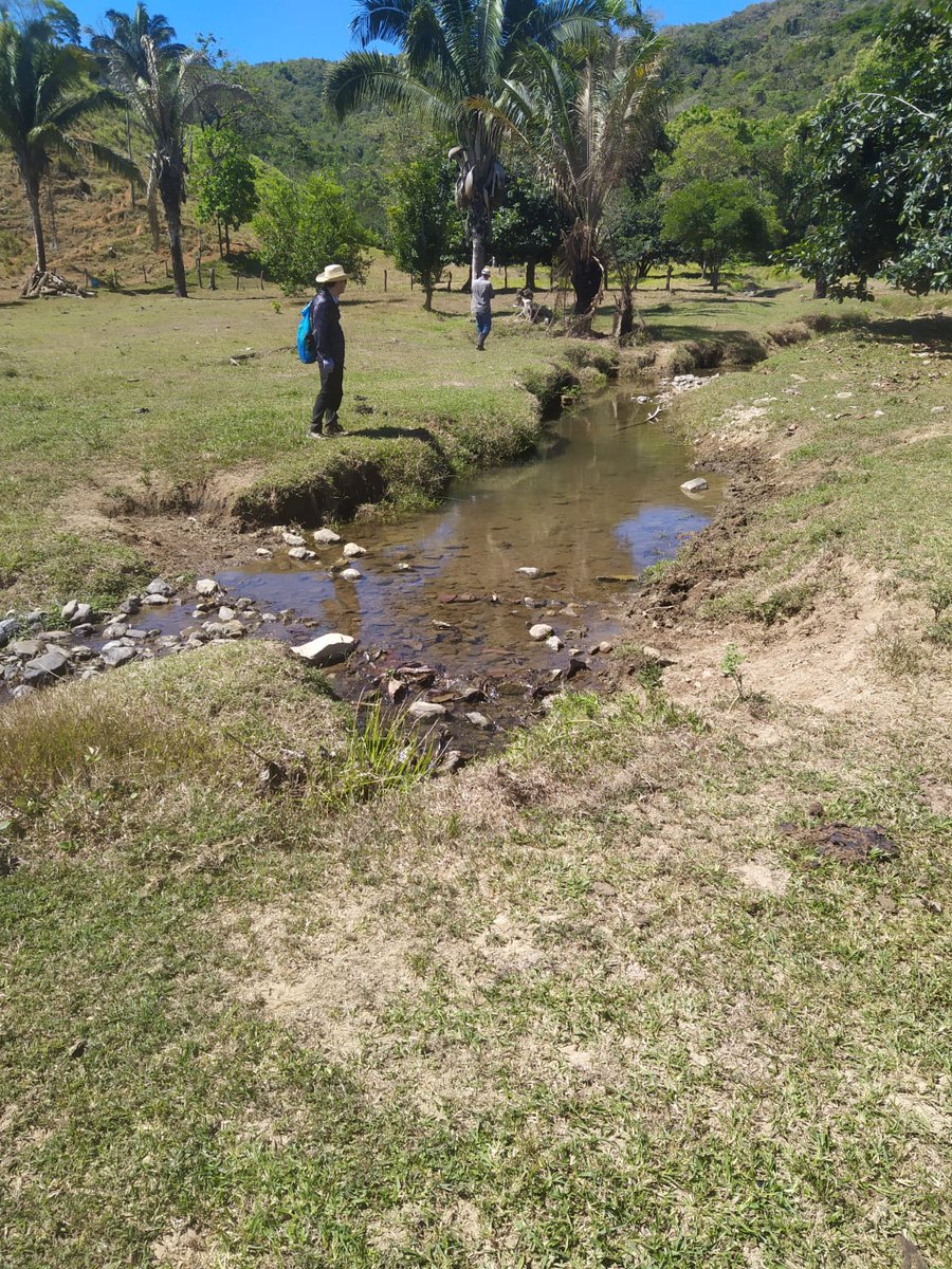 Charles Dereeper Officiel tweet media