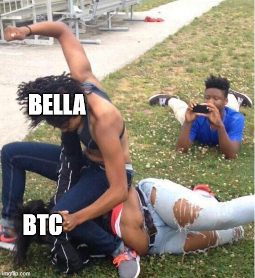 BellaPredator's tweet image. #btc btc? wen moon?