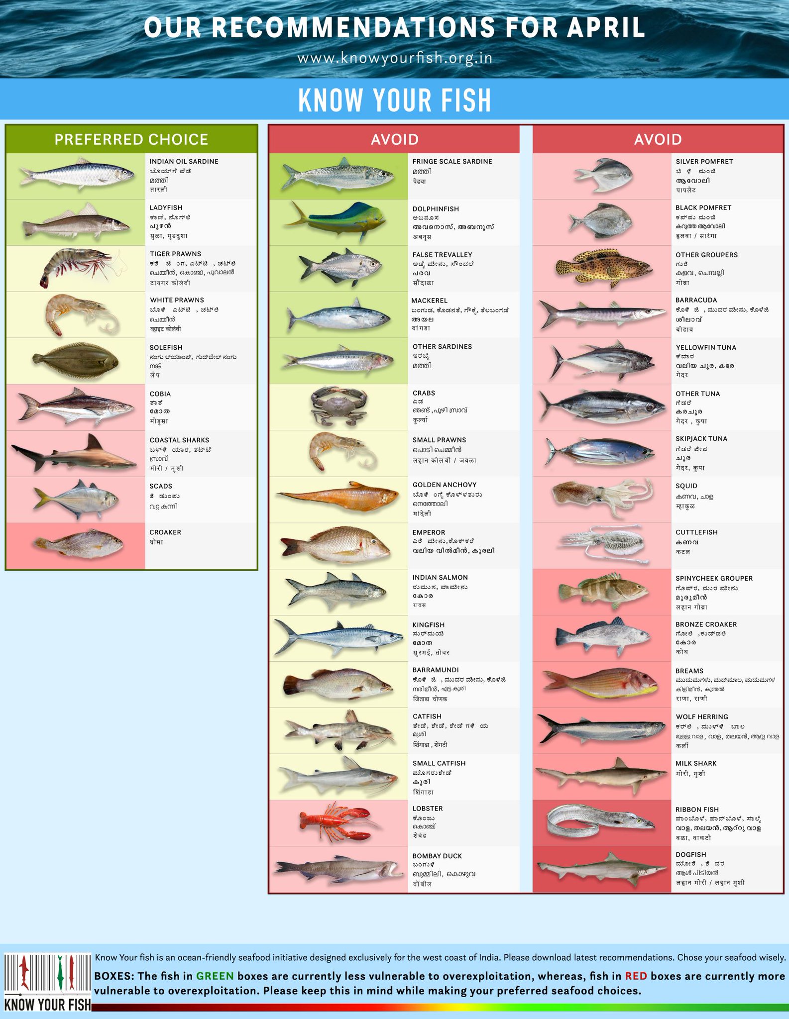 Know Your Fish on Twitter "Our seafood for April are