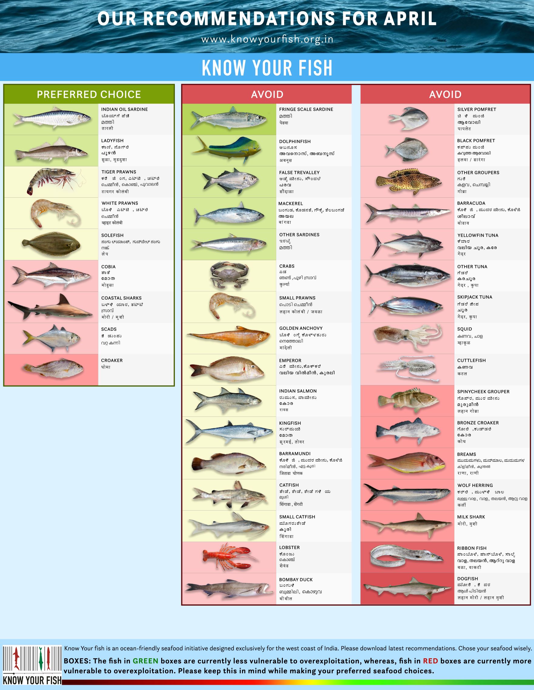 Know Your Fish on Twitter: 