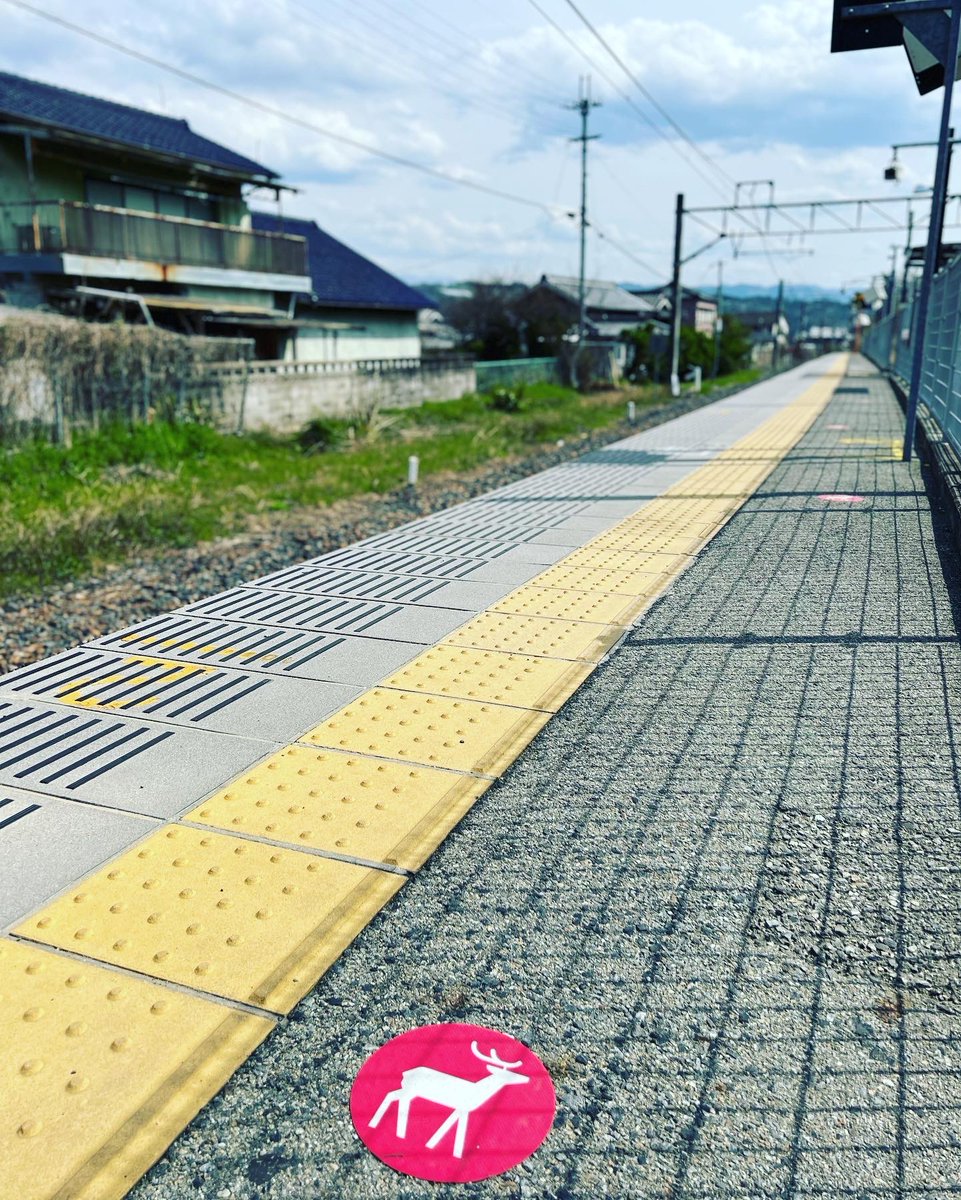 natchang_m's tweet photo. #奈良 のとある駅。電車の乗り間違えをよくするのだけど今日もやってしまった…
都内なら数分で次の電車が来るけどここでは40分待ち。でもそれも悪くないと思えるのはここが奈良だから。I ♡ NARA 🦌

#奈良旅 #naratrip #奈良の鹿
#やってもうた #旅 #trip #旅の記録 #旅が好き #旅ができることに感謝 https://t.co/6YXFsHETNO
