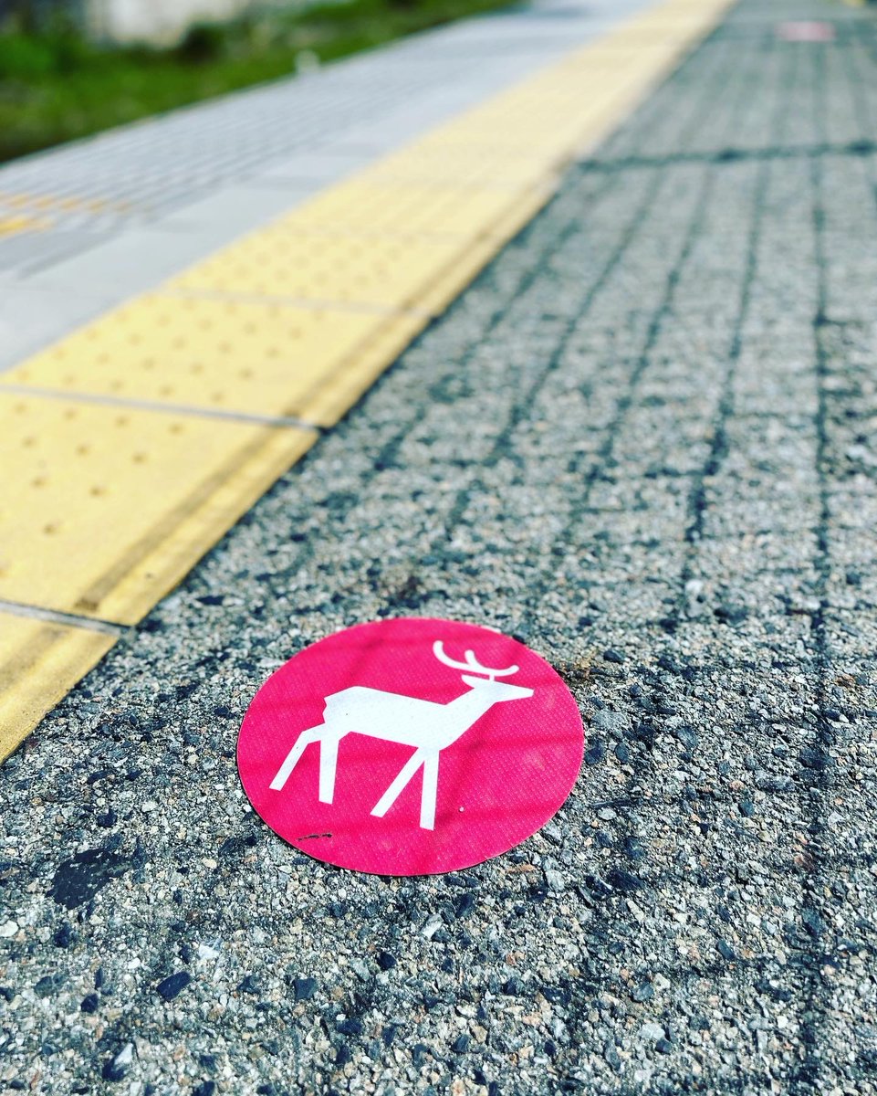 natchang_m's tweet photo. #奈良 のとある駅。電車の乗り間違えをよくするのだけど今日もやってしまった…
都内なら数分で次の電車が来るけどここでは40分待ち。でもそれも悪くないと思えるのはここが奈良だから。I ♡ NARA 🦌

#奈良旅 #naratrip #奈良の鹿
#やってもうた #旅 #trip #旅の記録 #旅が好き #旅ができることに感謝 https://t.co/6YXFsHETNO