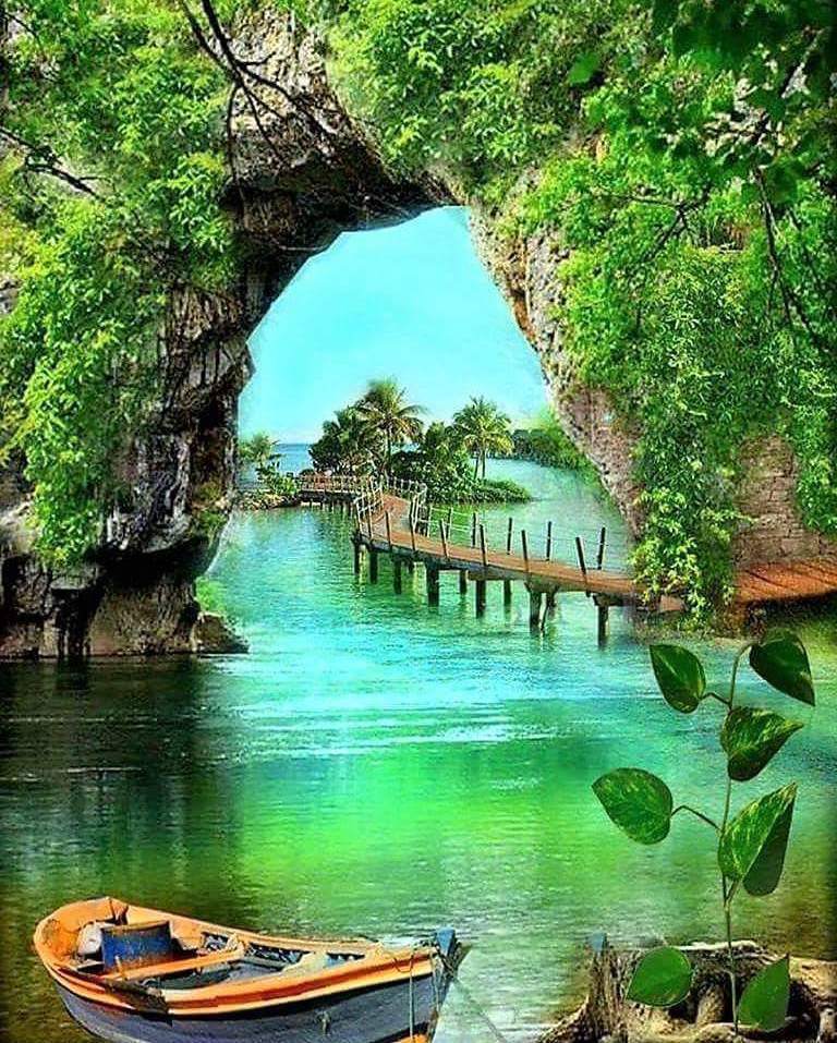 💚Good Morning💚