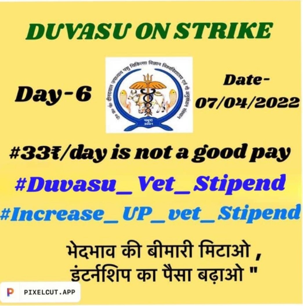 जब तक नहीं बढ़ेगा stipend, पशु चिकित्सा रहेगी बंद।
#VetUnity 
#Increase_UP_vets_stipend
#Duvasu_Vet_Stipend 
#SVPUAT_Meerut 
<a href="/myogiadityanath/">Yogi Adityanath</a> <a href="/MrityunjayUP/">Mrityunjay Kumar</a> <a href="/TanseemHaider/">Tanseem Haider तनसीम हैदर</a> <a href="/shalabhmani/">Dr. Shalabh Mani Tripathi</a> <a href="/icarindia/">Indian Council of Agricultural Research.</a> <a href="/Aamitabh2/">Amitabh Agnihotri</a> <a href="/brajeshpathakup/">Brajesh Pathak</a> <a href="/presidentVCI/">Dr. Umesh C Sharma</a> <a href="/ptshrikant/">Shrikant Sharma</a> <a href="/dharampalbjpmla/">Dharampal Singh</a>