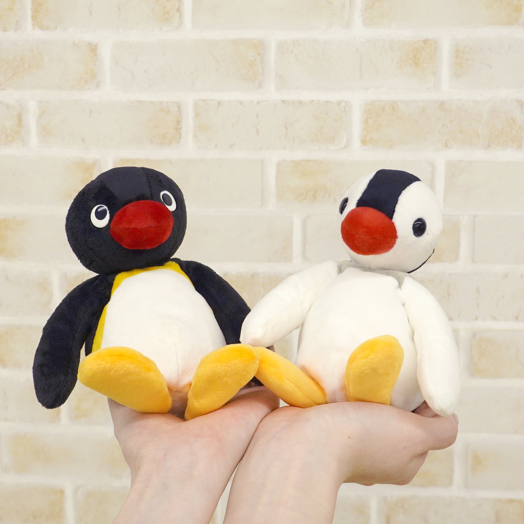 サン アロー ピングー シリーズより ピングーとピンガの お手玉 ぬいぐるみが発売中 手のひらにすっぽりおさまるサイズです ピングー ピンガ ペンギン コーデュロイ お洒落 インテリア ぬいぐるみ ぬいぐるみだいすき ぬいぐるみじゃ