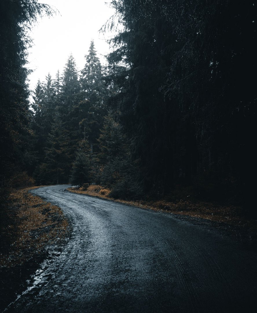 Denis Helbig tweet media