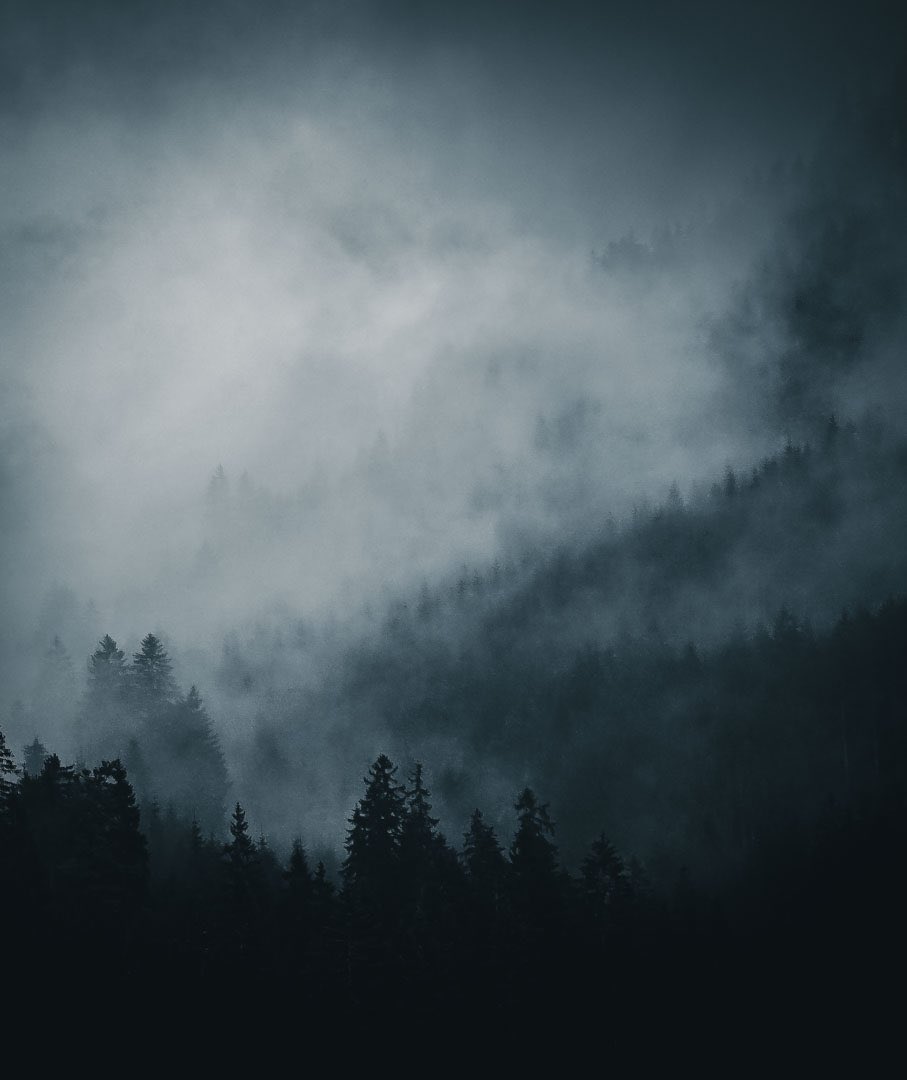 Denis Helbig tweet media