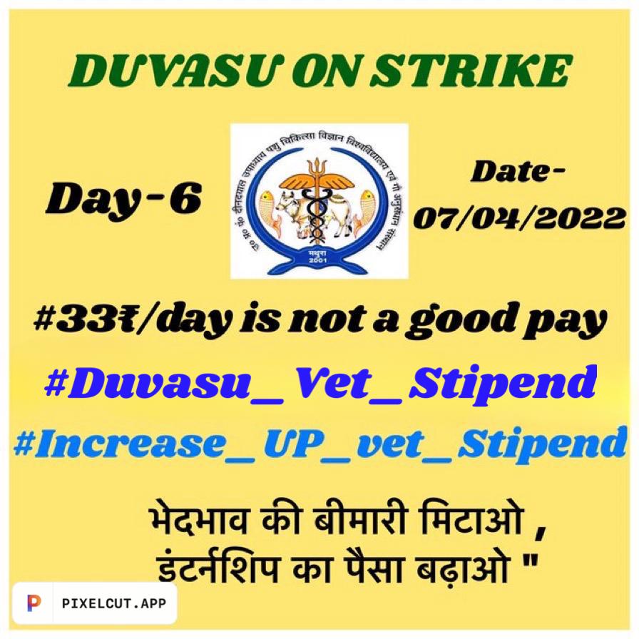 जब तक नहीं बढ़ेगा stipend, पशु चिकित्सा रहेगी बंद।
#VetUnity 
#Increase_UP_vets_stipend
#Duvasu_Vet_Stipend 
#SVPUAT_Meerut 
<a href="/myogiadityanath/">Yogi Adityanath</a> <a href="/MrityunjayUP/">Mrityunjay Kumar</a> <a href="/TanseemHaider/">Tanseem Haider तनसीम हैदर</a> <a href="/shalabhmani/">Dr. Shalabh Mani Tripathi</a> <a href="/icarindia/">Indian Council of Agricultural Research.</a> <a href="/Aamitabh2/">Amitabh Agnihotri</a> <a href="/brajeshpathakup/">Brajesh Pathak</a> <a href="/presidentVCI/">Dr. Umesh C Sharma</a> <a href="/ptshrikant/">Shrikant Sharma</a> <a href="/dharampalbjpmla/">Dharampal Singh</a>