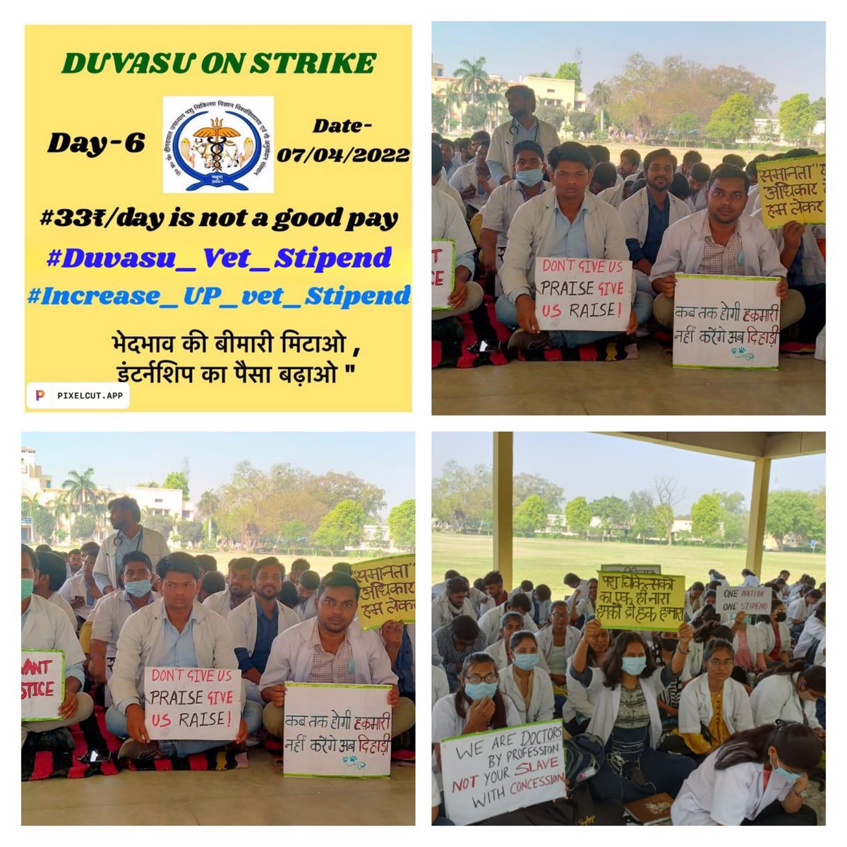 कल एक था आज हजारों हैं!
किस-किस को रोकोगे?
सबकी जुबां पर यही नारे हैं। #Increase_UP_vets_stipend
#Duvasu_Vet_Stipend 
<a href="/myogiadityanath/">Yogi Adityanath</a> <a href="/GirishPandy/">Girish Kumar Pandey</a> <a href="/MrityunjayUP/">Mrityunjay Kumar</a> <a href="/SURYA_NBT/">surya p shukla</a> <a href="/TanseemHaider/">Tanseem Haider तनसीम हैदर</a> <a href="/shalabhmani/">Dr. Shalabh Mani Tripathi</a> <a href="/icarindia/">Indian Council of Agricultural Research.</a> <a href="/Aamitabh2/">Amitabh Agnihotri</a> <a href="/brajeshpathakup/">Brajesh Pathak</a> <a href="/presidentVCI/">Dr. Umesh C Sharma</a> <a href="/ptshrikant/">Shrikant Sharma</a>