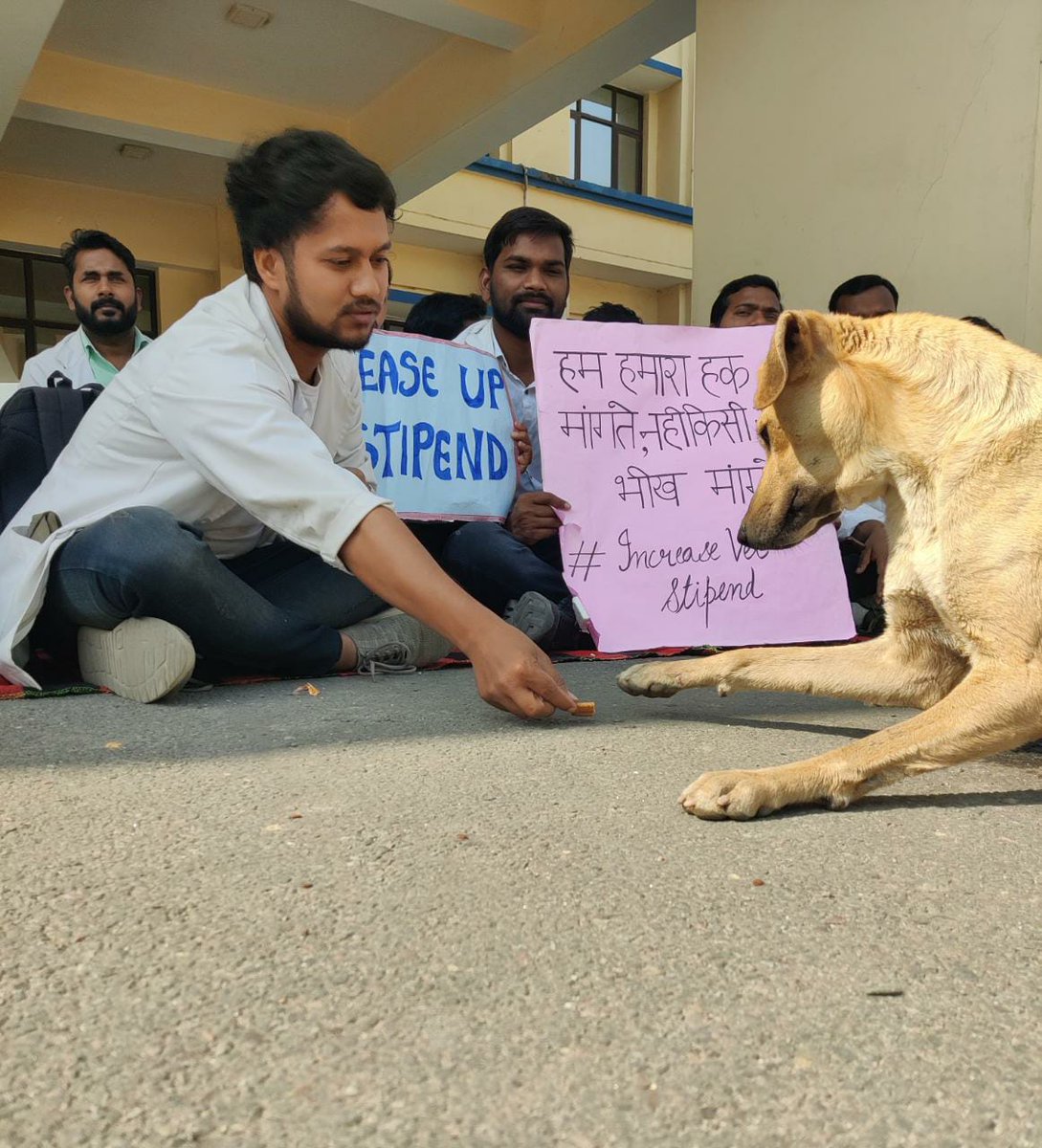#Increase_UP_vets_Stipend
#SVPUAT_Meerut
#DUVASU_Mathura
#ANDUAT_Ayodhya
<a href="/myogiadityanath/">Yogi Adityanath</a> <a href="/CMOfficeUP/">CM Office, GoUP</a> <a href="/ANINewsUP/">ANI UP/Uttarakhand</a> <a href="/drsanjeevbalyan/">Dr. Sanjeev Balyan</a> <a href="/Aamitabh2/">Amitabh Agnihotri</a> <a href="/brajeshpathakup/">Brajesh Pathak</a>  <a href="/dharampalbjpmla/">Dharampal Singh</a> <a href="/ktakshish/">Ashish Mishra</a> <a href="/atul1chaturvedi/">atul chaturvedi</a> <a href="/PRupala/">Parshottam Rupala</a> <a href="/VikasSaraswat/">Vikas Saraswat</a> <a href="/atulpradhansp/">Atul Pradhan</a> <a href="/SangeetSomBJP/">Sangeet Singh Som</a>