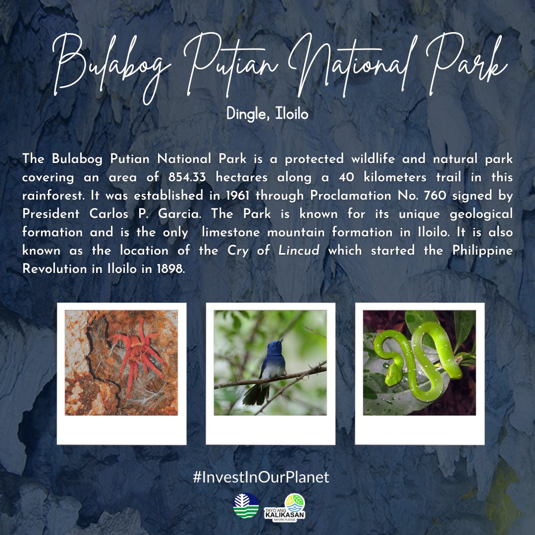DenrVisayas's tweet photo. EXPLORE: Bulabog Putian National Park, the only limestone mountain formation in Iloilo. 
#InvestInOurPlanet
#denrapril2022
#DENR6
#TayoAngKalikasan https://t.co/yz5h3bZAj3