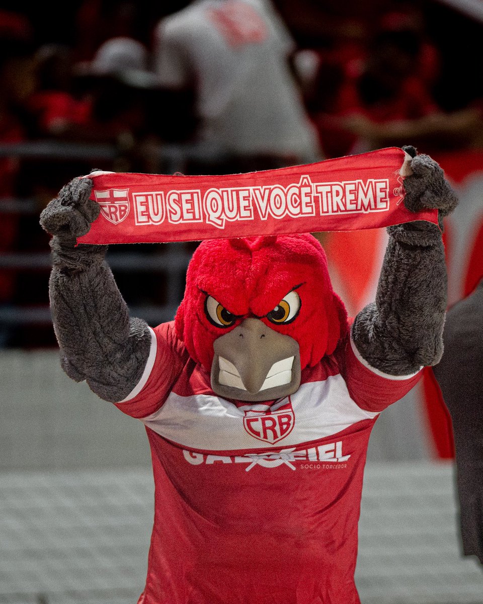 CRBoficial's tweet photo. TUDO NORMAL EM ALAGOAS 😘🇦🇹

#CRBOficial #CampeonatoAlagoano #AvanteRegatas https://t.co/SbgHW6RELf