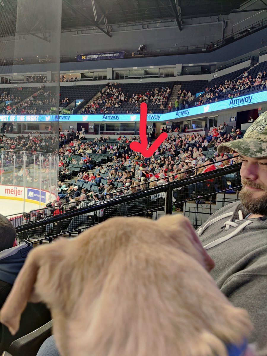 longleaf616's tweet photo. @FPHMonsters #Finn is his favorite person at the games. He spots him from across the arena and waits for him https://t.co/xnMFtorLMc