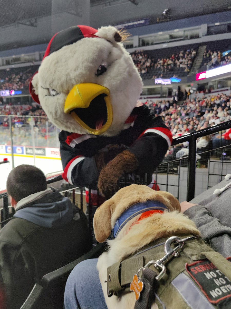 longleaf616's tweet photo. @FPHMonsters #Finn is his favorite person at the games. He spots him from across the arena and waits for him https://t.co/xnMFtorLMc