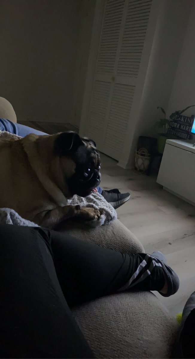 Leslii_m's tweet photo. Kelvin and I have a temporary new roomie https://t.co/JSemhgi8cb