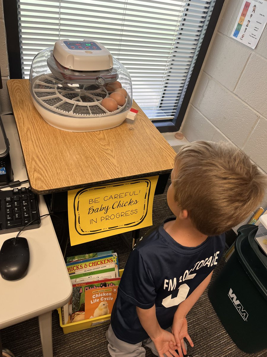 mseakin_PFE's tweet photo. Special delivery today in First Grade! We’ll be taking very good care of our incubator filled with eggs and hopefully meet some new chicks in 21 days!!! 🤞🏼🐣 #teampfe #gameonforlearning https://t.co/hQvPWso45b