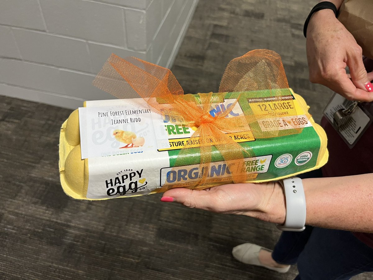 mseakin_PFE's tweet photo. Special delivery today in First Grade! We’ll be taking very good care of our incubator filled with eggs and hopefully meet some new chicks in 21 days!!! 🤞🏼🐣 #teampfe #gameonforlearning https://t.co/hQvPWso45b