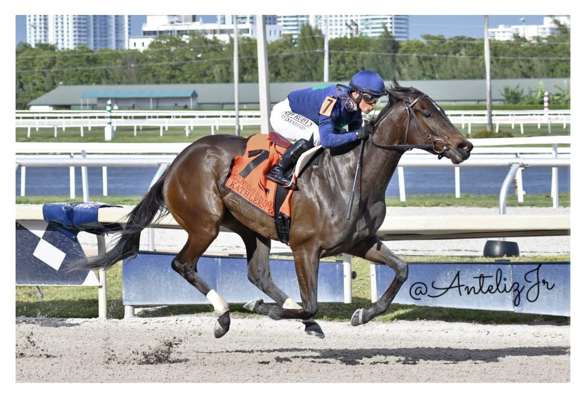Ryders_Up's tweet photo. KATHLEEN O, bajo la conducción de @jjcjockey, triunfante en “The Gulfstream Park Oaks (Gr.2)” lista para correr en “The Kentucky Oaks (Gr.1)”🏆 #360GT 
📸@AntelizJr @JockeyTack https://t.co/brNA41NEZm