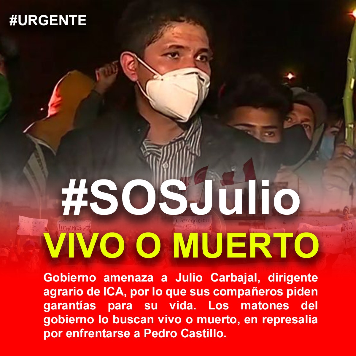 JulioCarbajalP's tweet photo. Responsabilizo a este gobierno conducido por @PedroCastilloTe si sucede algo con mi vida.
#FuerzaObreraAgraria 💚🇵🇪✊🏻 https://t.co/N3re9T2cuM