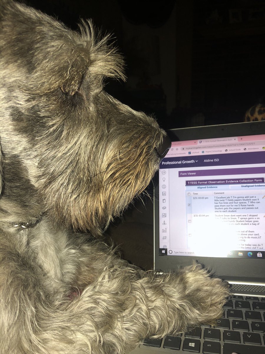 Minerva Gonzales (@minegonzo) on Twitter photo When you are an AP and have fur kids your time is valuable to them! My Gunner does not agree with me bringing work home!! He does not like me to work at home and neither does my Selena !! Last time bringing work home for me lol <a href="/WardLadon/">LaDon Ward</a> When you are an AP and have fur kids your time is valuable to them! My Gunner does not agree with me bringing work home!! He does not like me to work at home and neither does my Selena !! Last time bringing work home for me lol <a href="/WardLadon/">LaDon Ward</a>