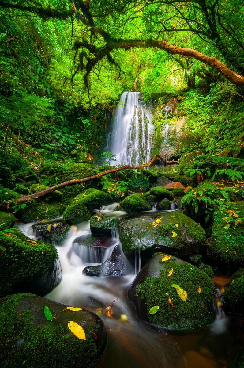 MikeIsaak's tweet photo. Happy #WaterfallWednesday

I'd like to introduce Mike Isaak Editions into the world of #NFTs

My editions are going to be numbered out of /25 and I am going to be pricing them at 0.025ETH each as a great entry point into collecting my work!
#NFTCommmunity #photography #NewZealand https://t.co/uT6DLJnkv1