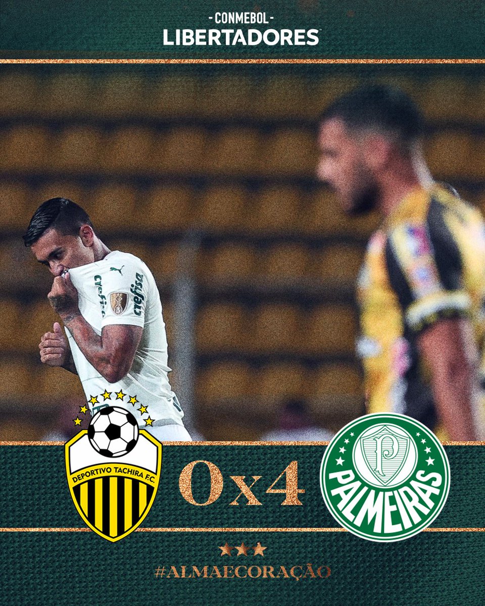 SE Palmeiras on X: AAAE, O MEU PALMEIRAS GANHOU! 🐷 Três clássicos e três  vitórias! Com gols de Raphael Veiga e Danilo, vencemos o Derby no Allianz  Parque e garantimos a liderança