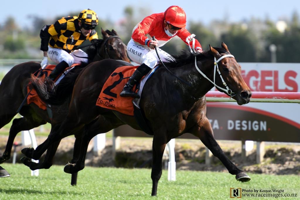 tommentatornz's tweet image. BOURBONAIRE makes his Hong Kong debut this weekend out of the John Size stable in the last race @ Sha Tin, C2 1400m.
Vagner Borges rides from barrier 12 off a rating of 81.
Last seen when G1 placed in the NZ 2000 Guineas. @HKJC_Racing #HKRacing @NZTM_TWEET @marshracing