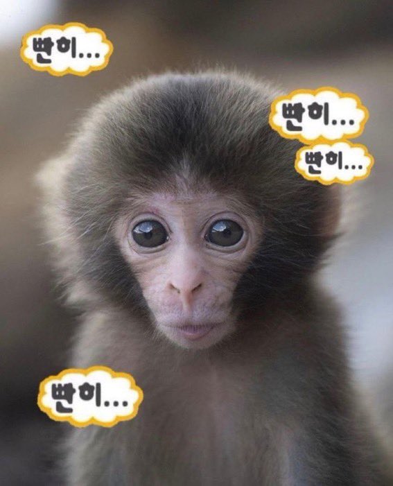좋아하는 짤들 