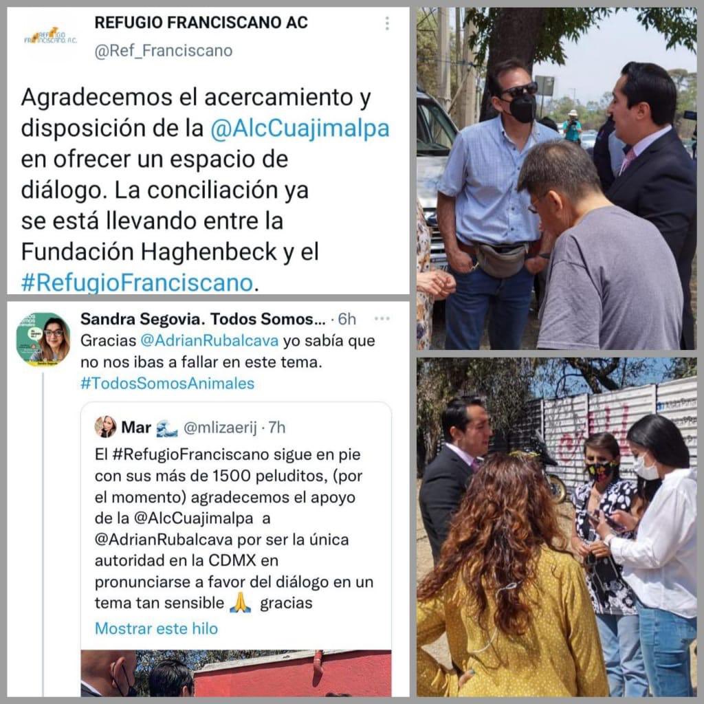 AdrianRubalcava's tweet photo. Celebramos que se haya aperturado el diálogo por el bien de los animalitos de compañía. Siempre estaremos  buscando soluciones por el bienestar de todos los seres vivos en nuestra demarcación @AlcCuajimalpa. @Ref_Franciscano @segoviasan https://t.co/aTA8kUB0ej