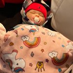Tdrで転売ヤーがグッズを多く買うために フェイク赤ちゃん として使った リボーンドール が話題に Togetter