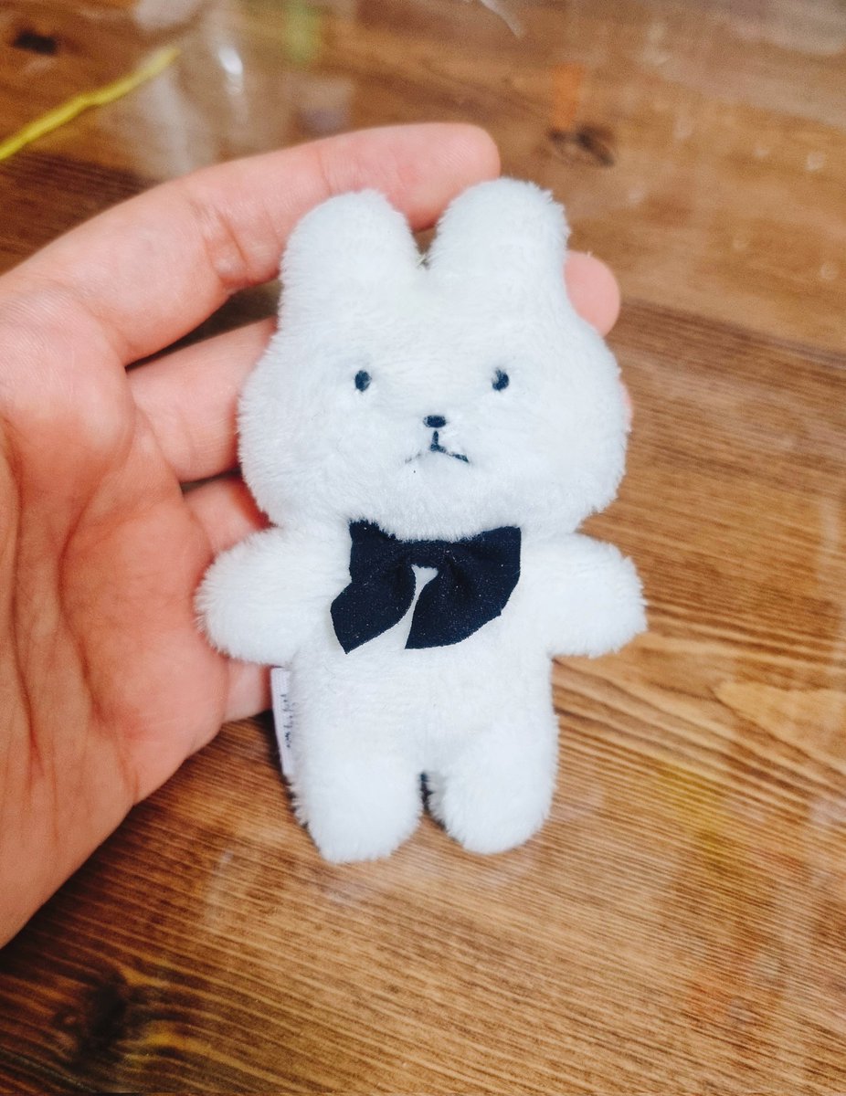 커스텀 신청 홍보 겸 😂 쪼만한 토끼 인형 알티 이벤트 열어봅니다! 팔로 한정 X! 당발은 10일 오후 10시에! 알티이벤트계, 알계는 당첨에서 제외합니다