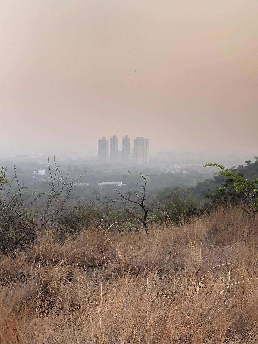 amarbarwe's tweet photo. A serene moment on a warm morning! #pune #hiking #hikeup #summer #summerishere https://t.co/YPtJoZODLq