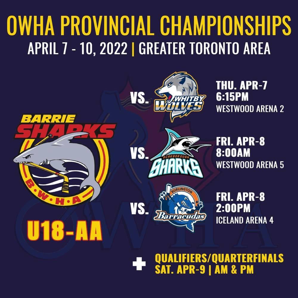 BWHA U18-AA (@u18_aa_bwha) on Twitter photo 