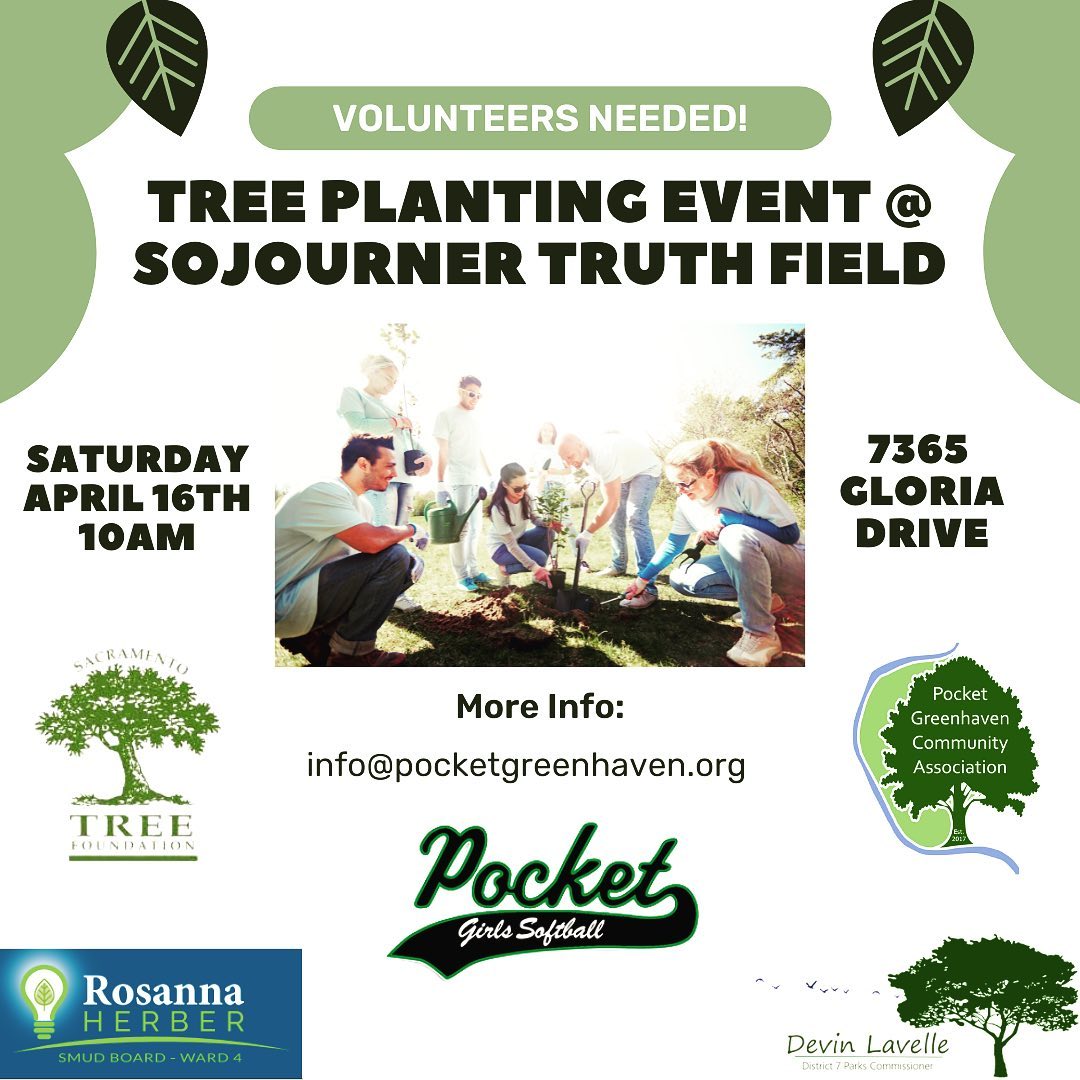 PocketCivics's tweet photo. The PGCA has joined w/ SMUD Board Director Rosanna Herber to plant trees at Sojourner Truth Field to add shade for players and families of #Pocket Girls Softball! Ty @devinlavelle &amp; @SacTree for your support. 4/16 10 AM. RSVP: https://t.co/1ZrqjDRVUl @SMUDUpdates #PocketPride https://t.co/Y7U0gyAz1G