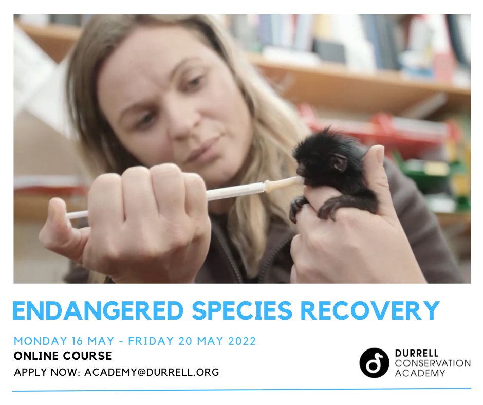 Apply now ➡️ Endangered Species Recovery | 16 - 20 May | ONLINE

Delivered by world-renowned experts, this five-day interactive learning experience introduces the issues and practical skills involved in saving threatened species from extinction.

training.durrell.org/course/view.ph…