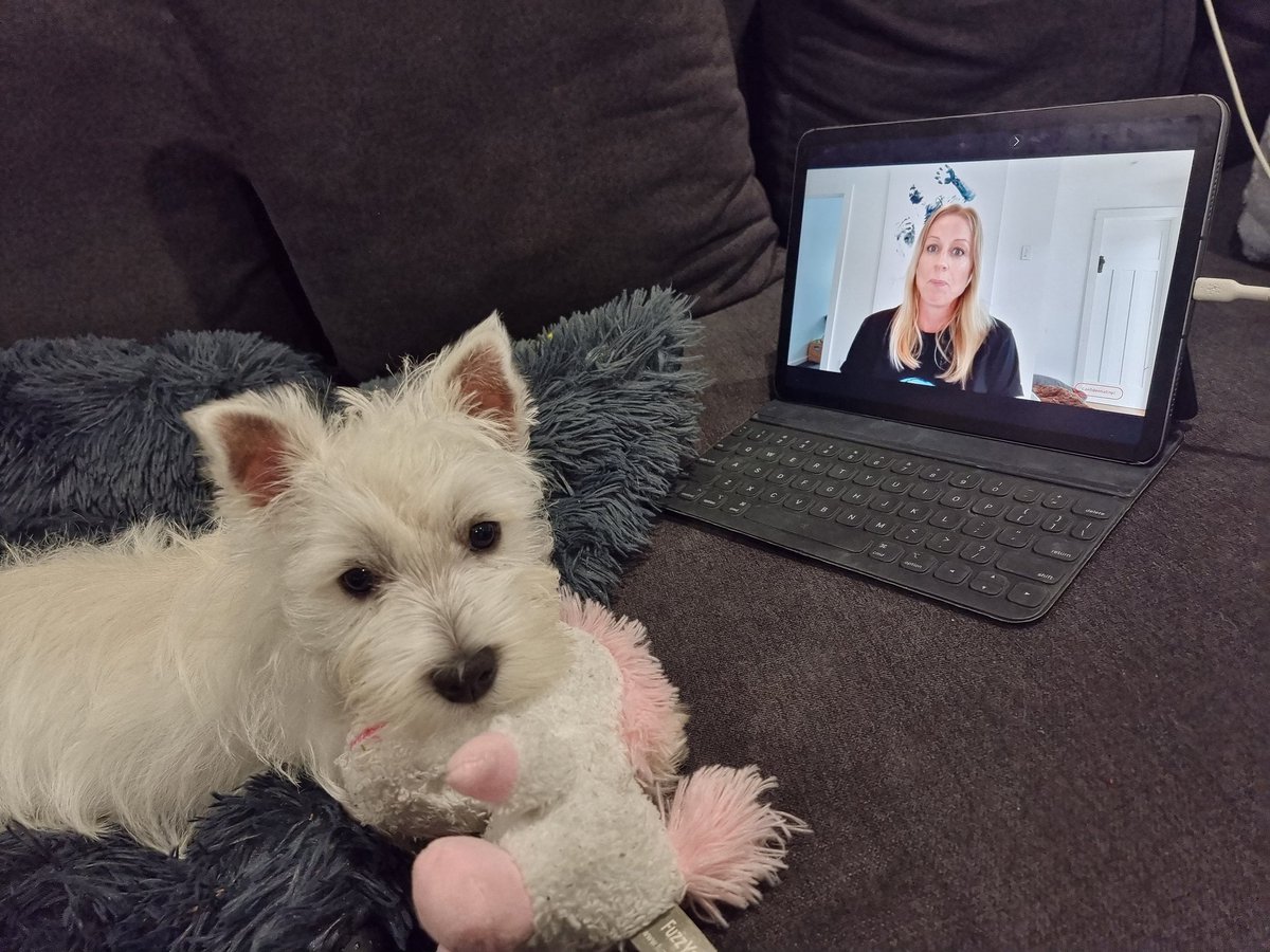 Erin Adams tweet media