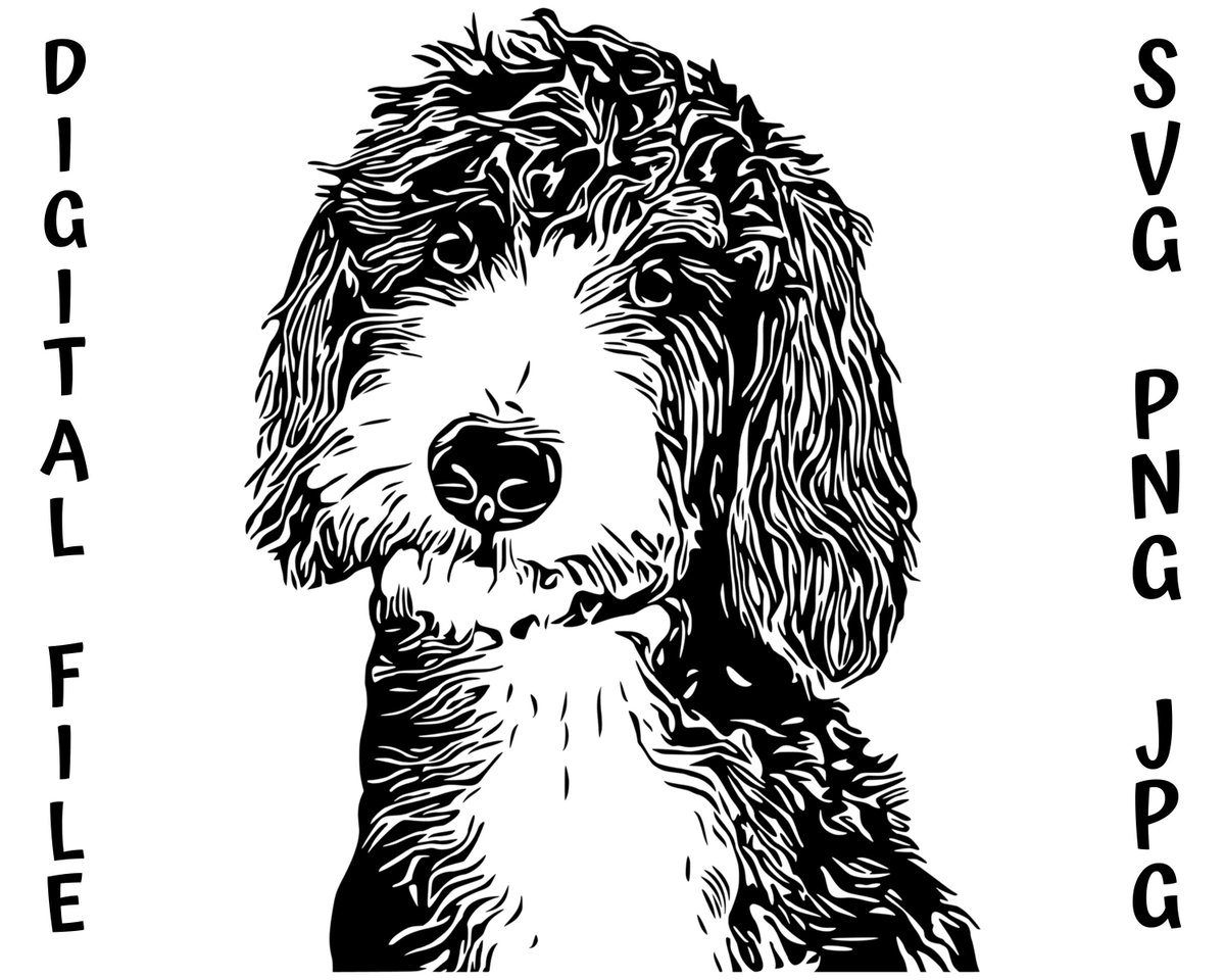 NancyMBinder's tweet photo. Excited to share the latest addition to my #etsy shop: Goldendoodle, Labradoodle, Aussiedoodle, Doodle, Puppy, Dog, Bernedoodle, SVG, PNG, JPG, Cut Files, Silhouette, Cricut, Vector https://t.co/DjTn9wX8GA #animal #svg #png #jpg #cricut #silhouette #puppy #dog #jpeg https://t.co/qNM0R0Fut6