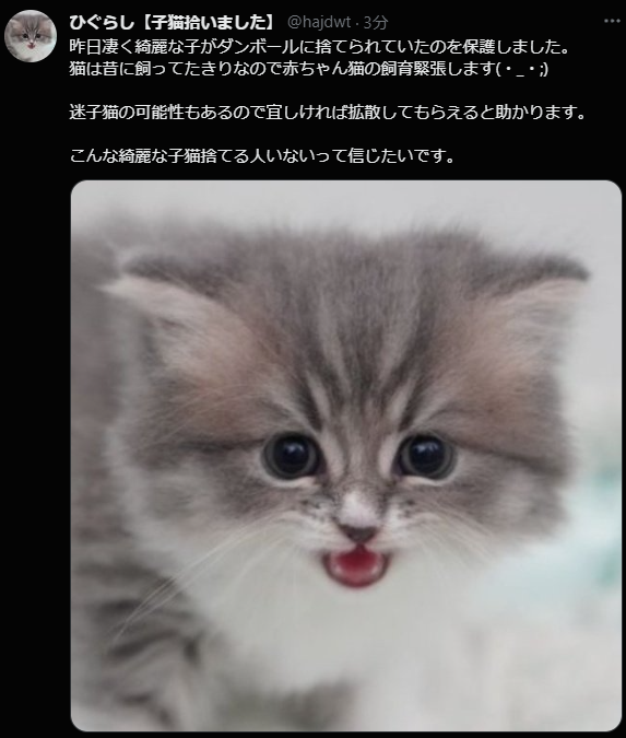 拡散希望 捨てられていた猫を保護しました Togetter