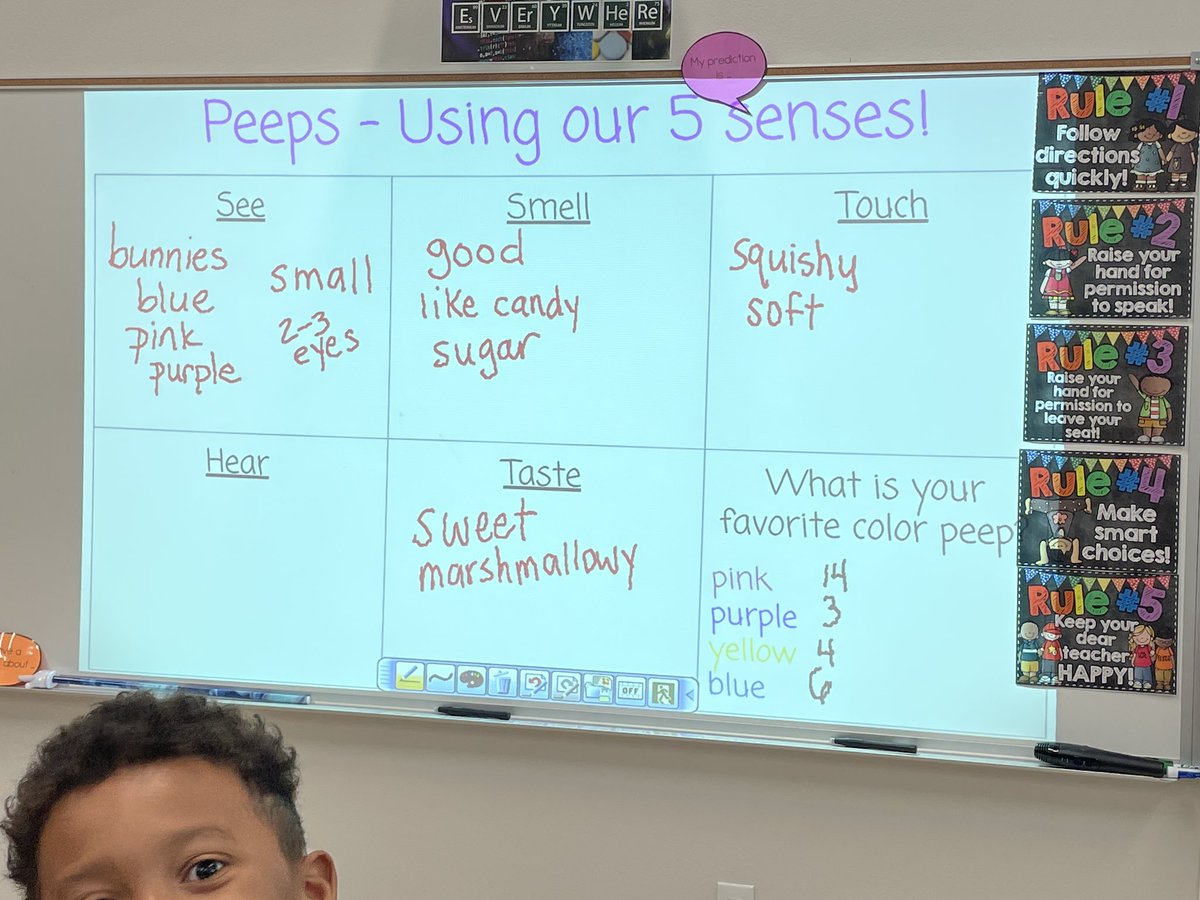 mrsishamscience's tweet photo. We had some fun with Peeps today! #tatescience https://t.co/xHe9VxBU5R