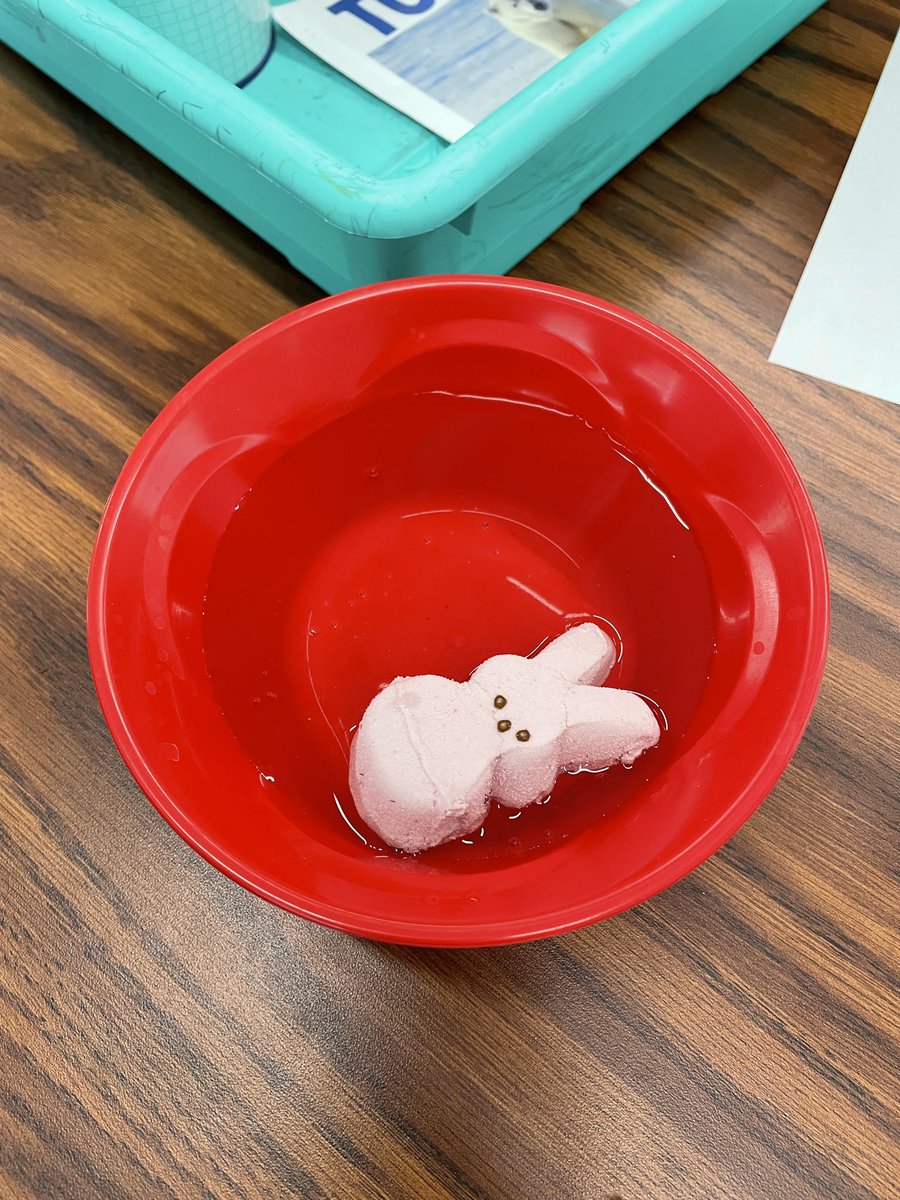mrsishamscience's tweet photo. We had some fun with Peeps today! #tatescience https://t.co/xHe9VxBU5R