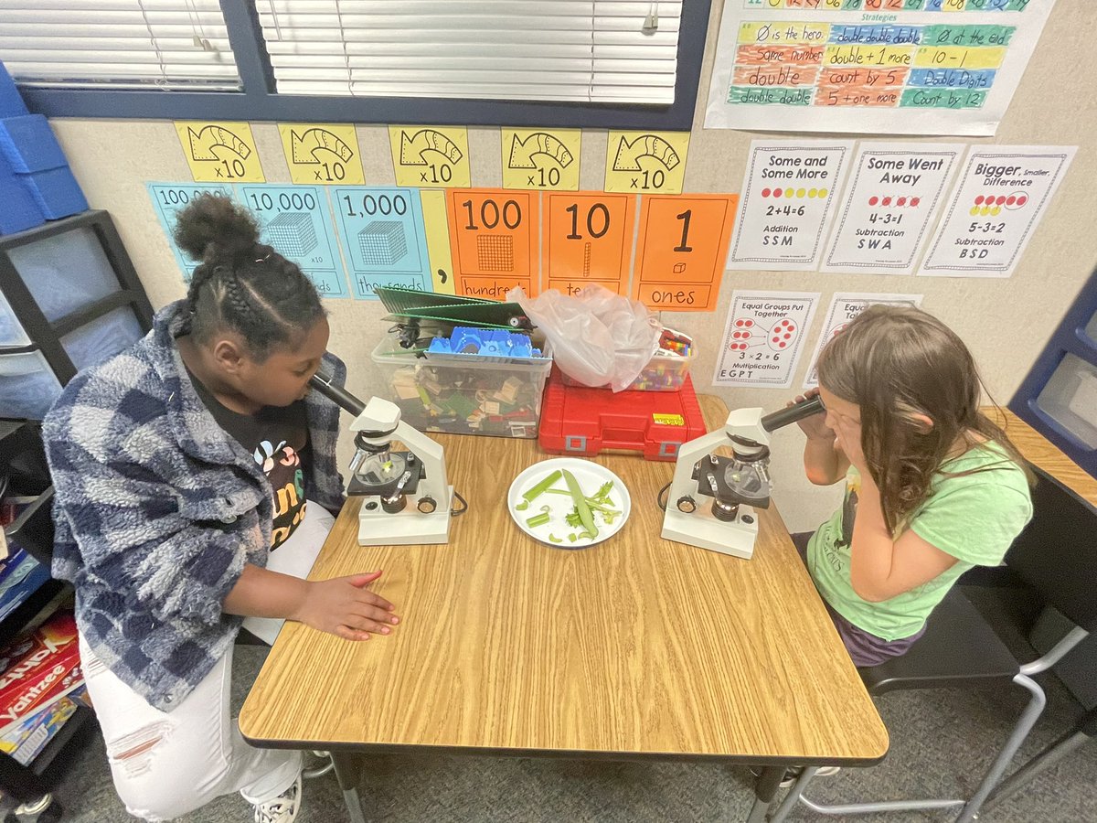 Busted out the microscopes for science to learn about the function of plants.  #MinshewColts. #MyMISD