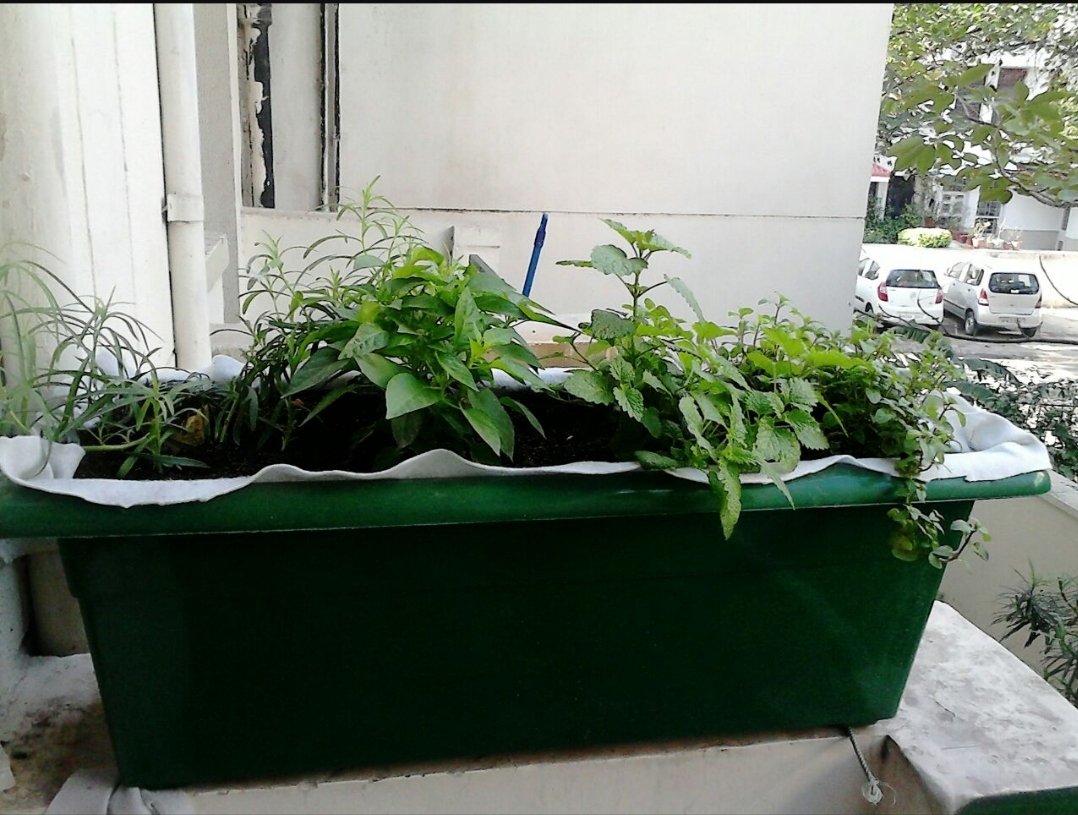 jha_yatendra's tweet photo. Sharing the details of hydroponic planters researched & developed in 2014 which saves upto 70% water without worrying about watering for months @thebetterindia @thegoodsight @taxmanhelp247 @suparna_r @JournoKumar @anujias09 #SmartHimalaya #smarttree https://t.co/1AVEyTLAHz