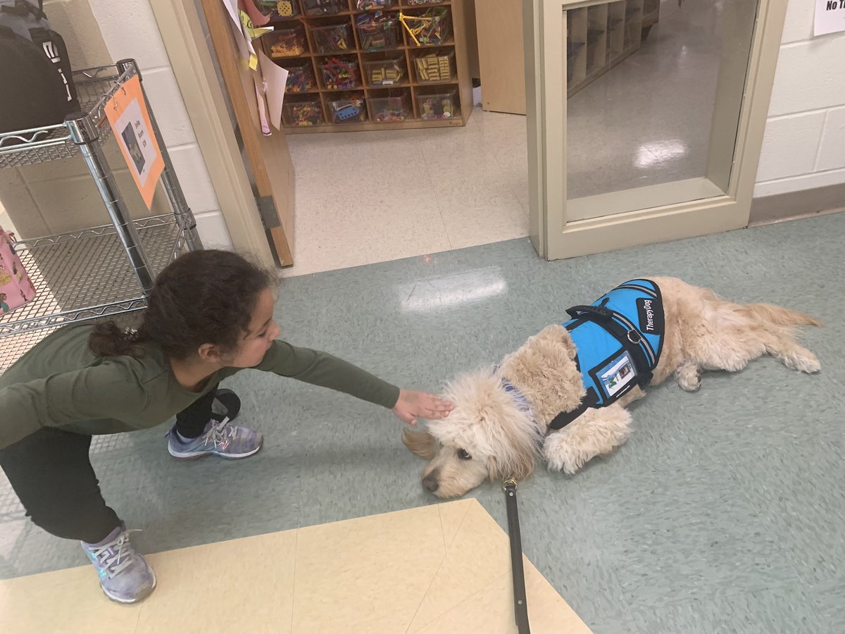 MECC_Counselor2's tweet photo. Shiner was loving all the attention from his 2nd grade friends today! They 💚 him so much & the feeling is mutual! 🐾💚🥰 #therapydogs #dogsofMason #MVPs #MostValuablePups #Shinerlove https://t.co/UdwXjTvYUC