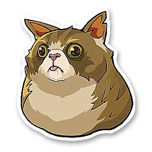 ItsMikeyAngelo's tweet photo. @k_elsayyy Meow https://t.co/MupXHsmJk9