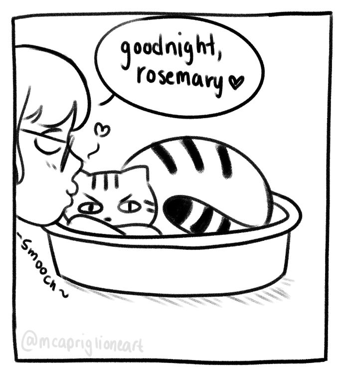 goodnight, cat! 💖🐱 