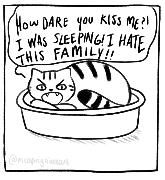 goodnight, cat! 💖🐱 