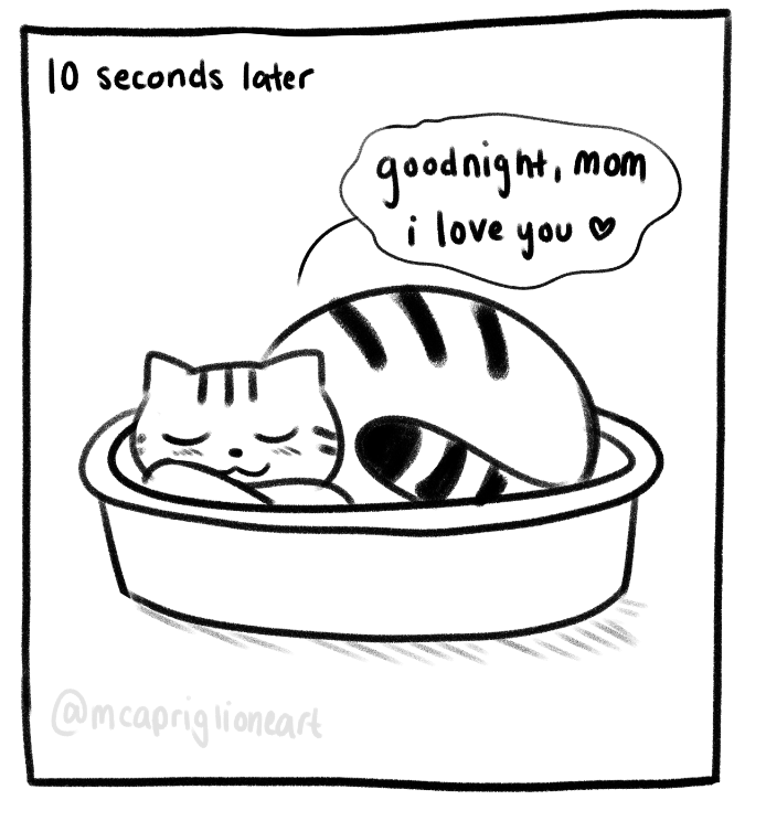 goodnight, cat! 💖🐱 